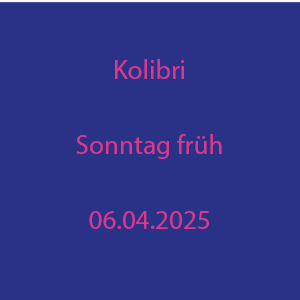 Kolibri 2025 Sonntag Vormittag